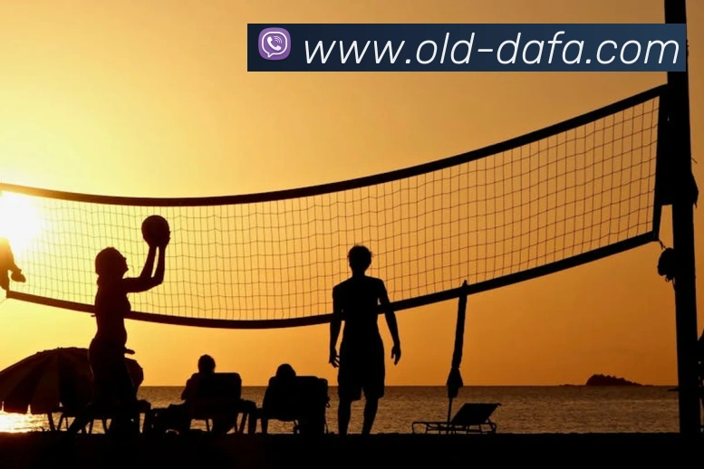 大发彩票平台生态图