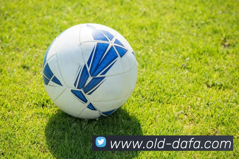 大发彩票全站App